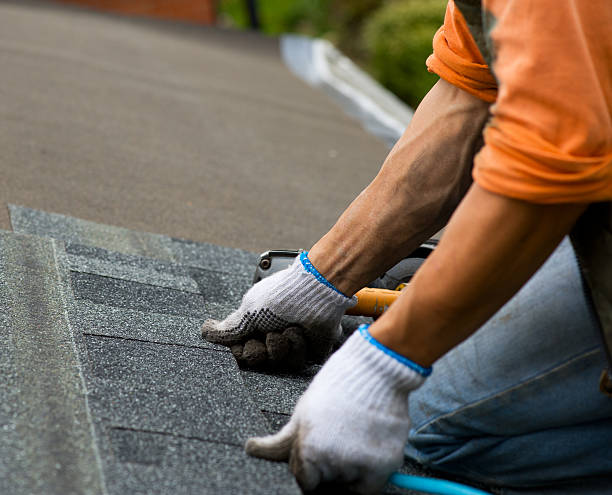 Best Storm Damage Roof Repair  in Mendota, IL